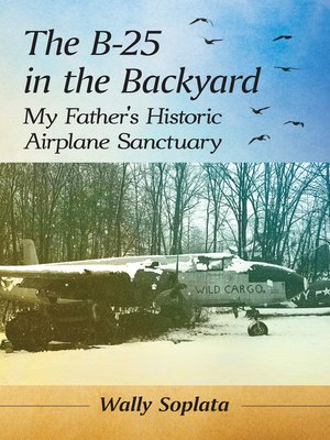 cover image of The B-25 in the Backyard